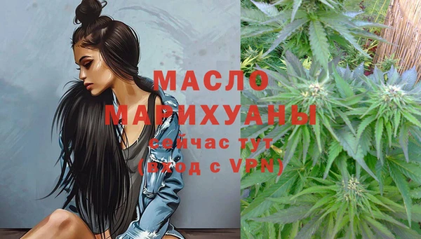 соль ск Вяземский