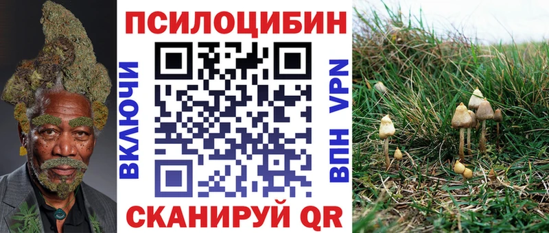 Галлюциногенные грибы Magic Shrooms  где купить наркотик  Остров 